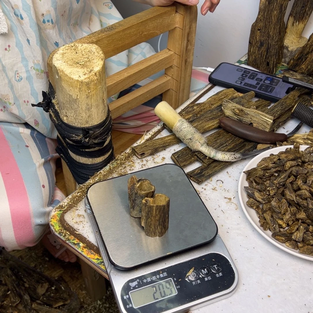 线香奇楠虫漏香20克