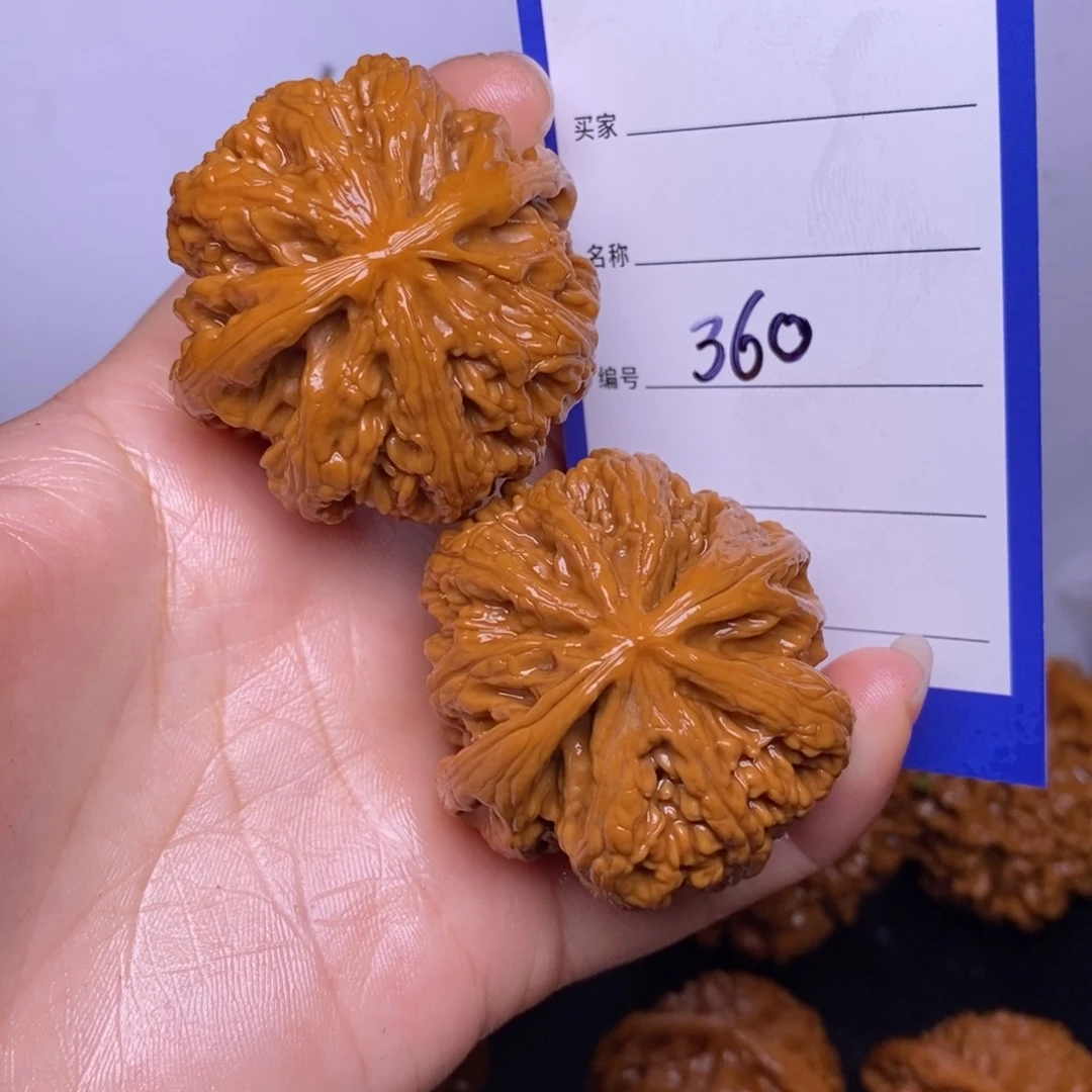 文玩核桃把件360/42粗筋