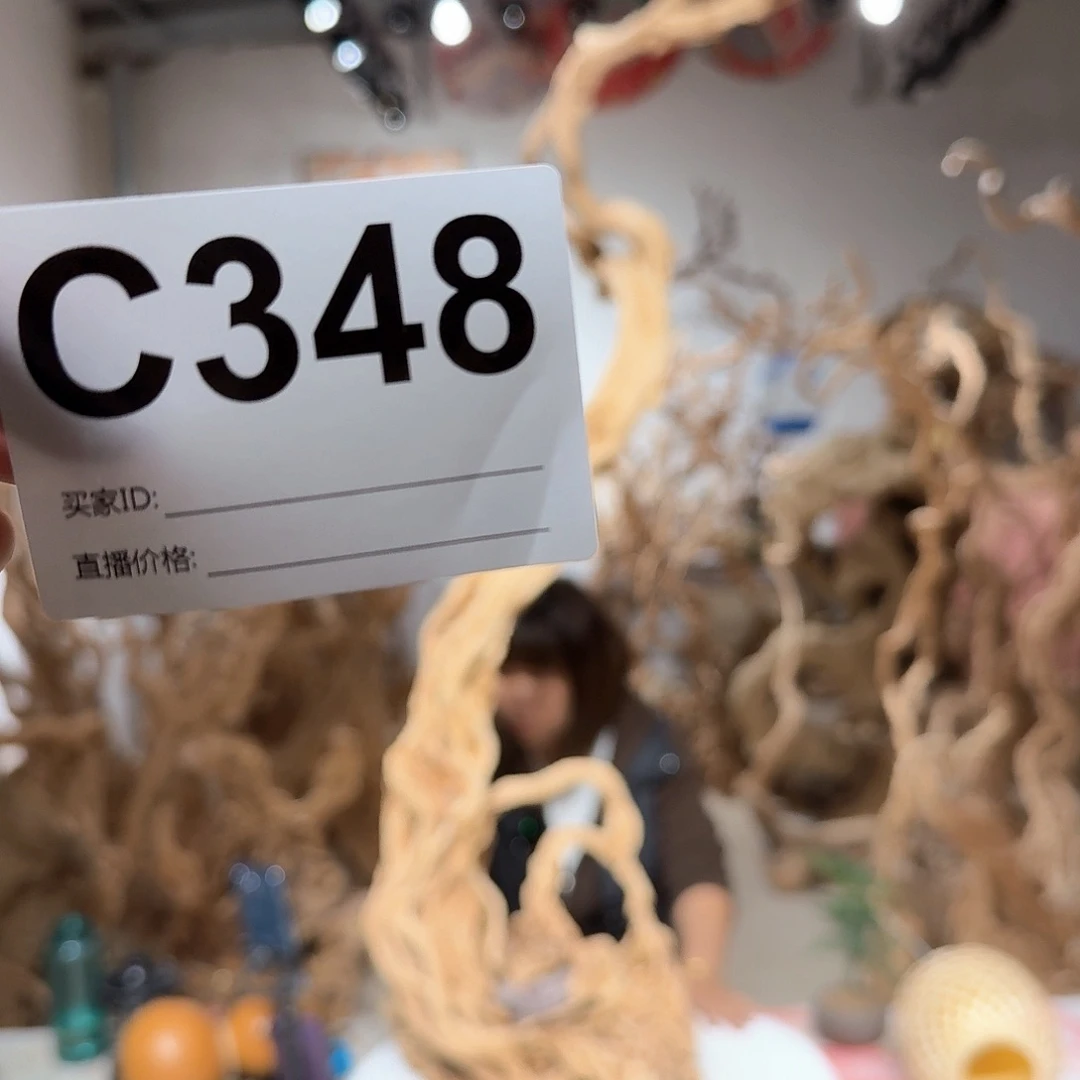 风车木（黑檀木）?**峰