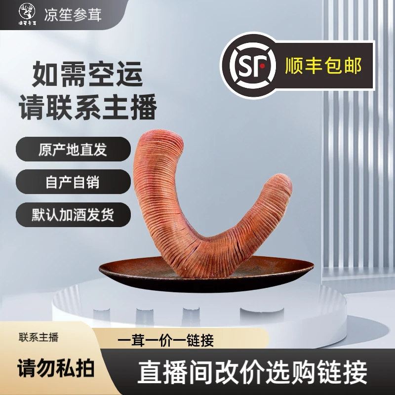 东北鹿乡新鲜鹿茸可煲汤泡酒滋补营养（直播链接一物一价）