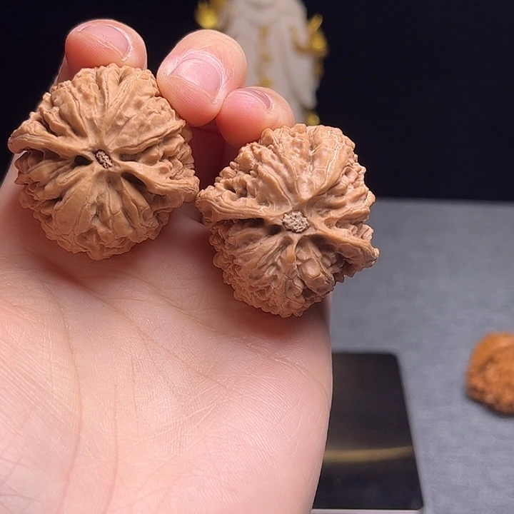 W***e佛佛佛佛佛佛佛佛佛佛