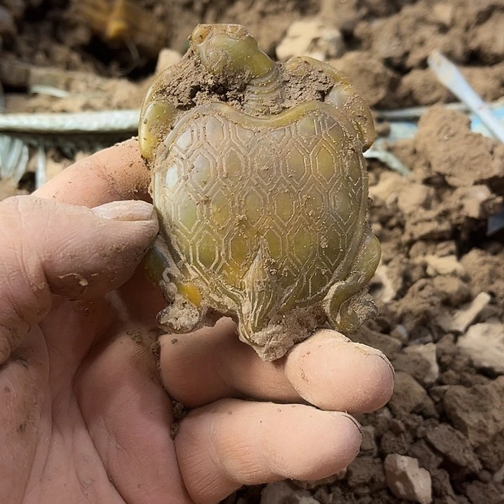 瓷片瓷器紫砂壶瓷器