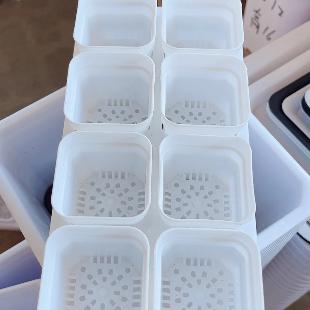 塑料福利款5.3方白色盆40个带拖架