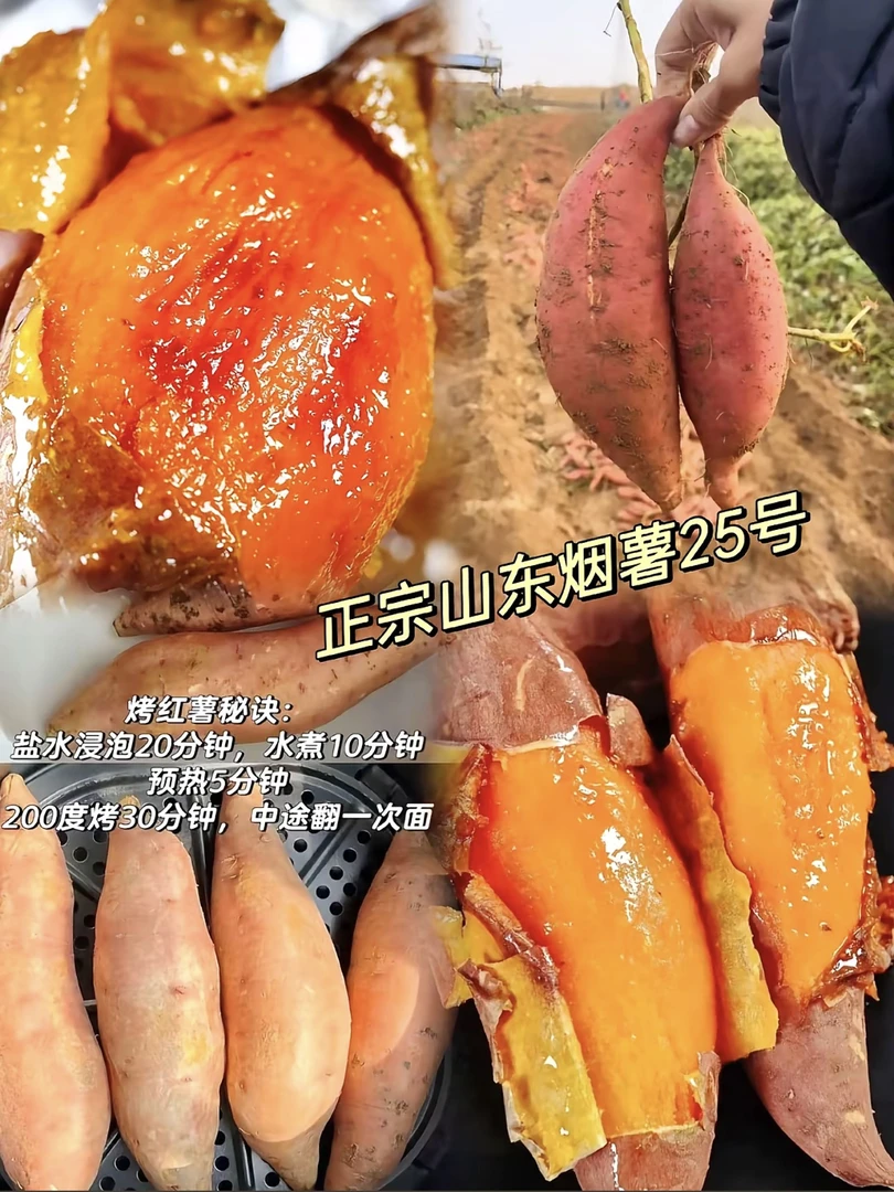 正宗烟薯25号蜜薯糖心红薯皮薄软糯香甜沙地现挖