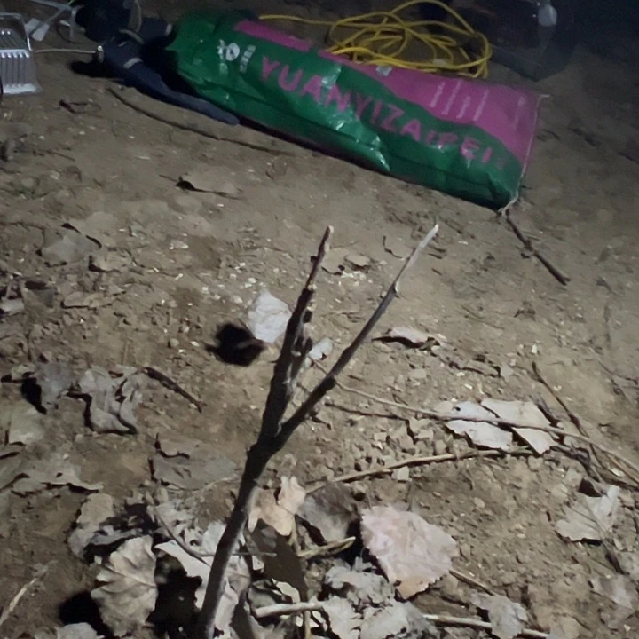 果***晨完全开放芳纪中颗