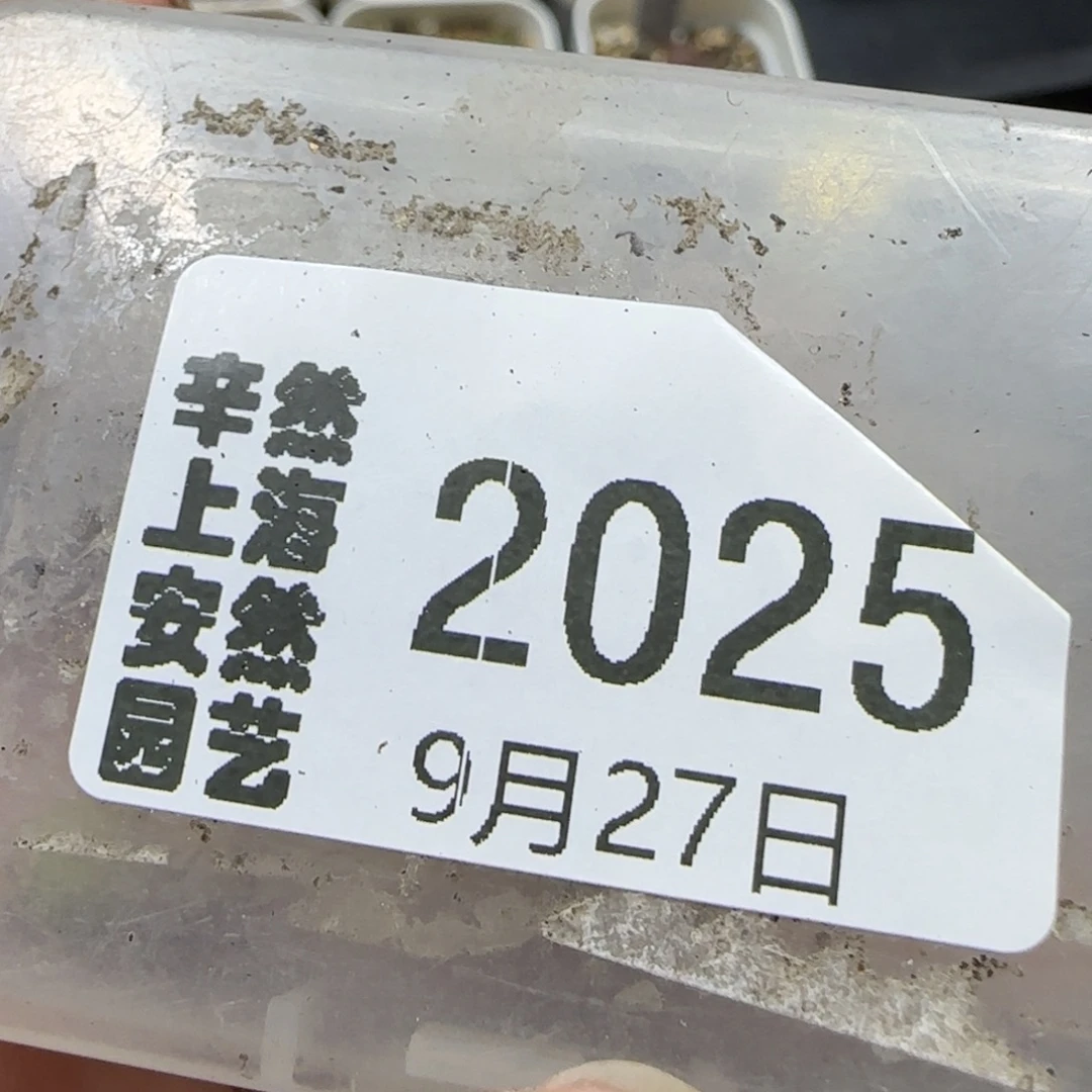 阿***79.27。  .6糖霜x2+ken饼x2。 2025