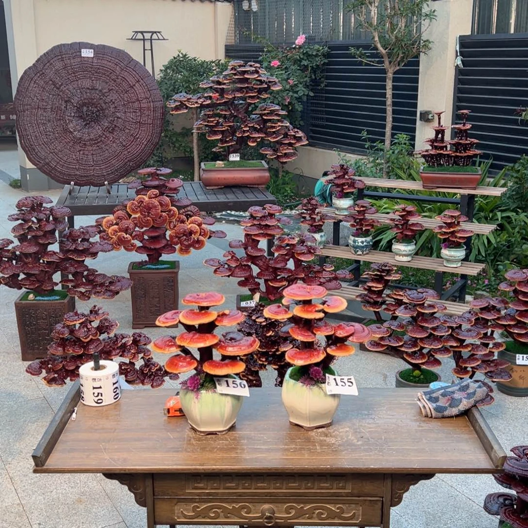 完全开放86888888888