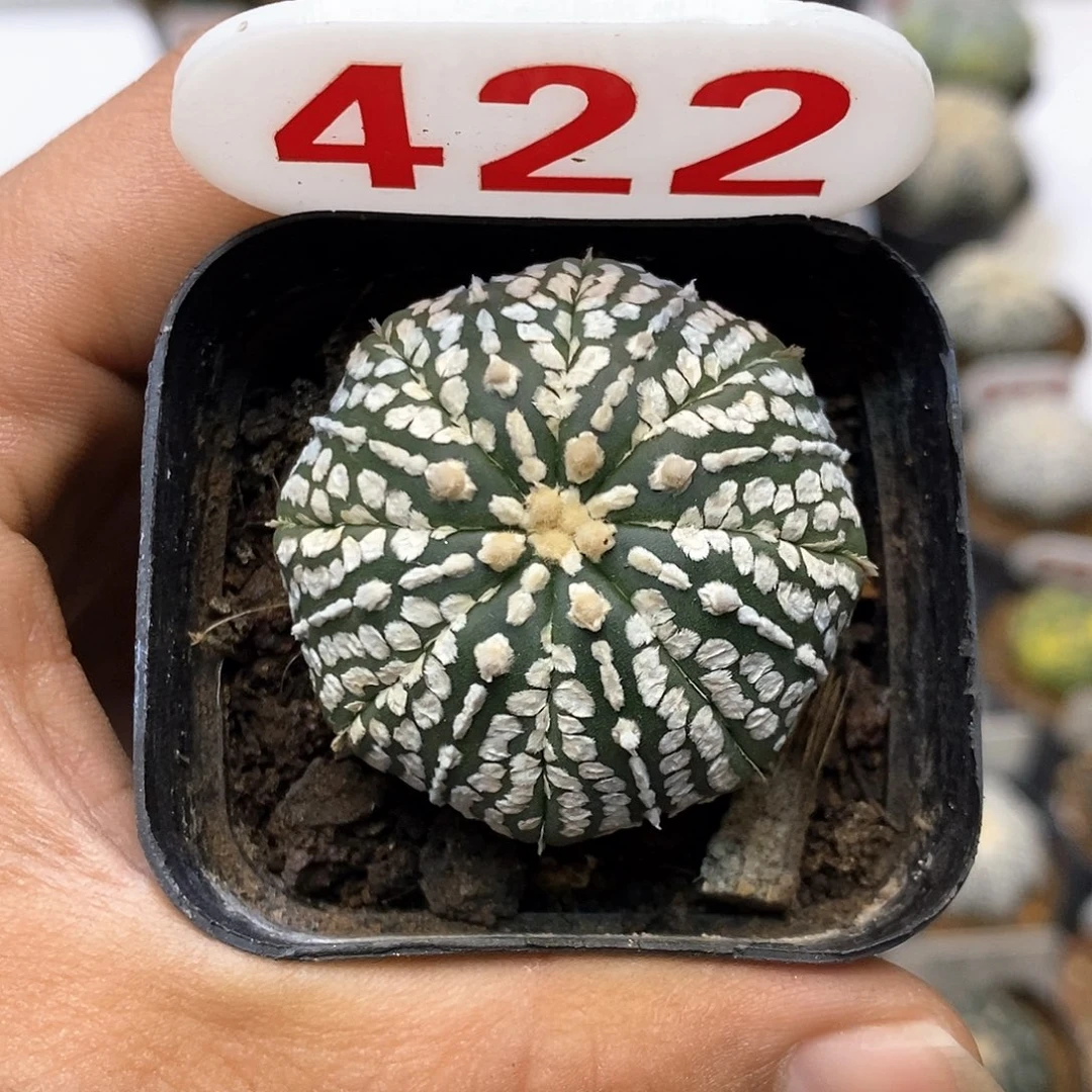 422福利特价来了特价来了