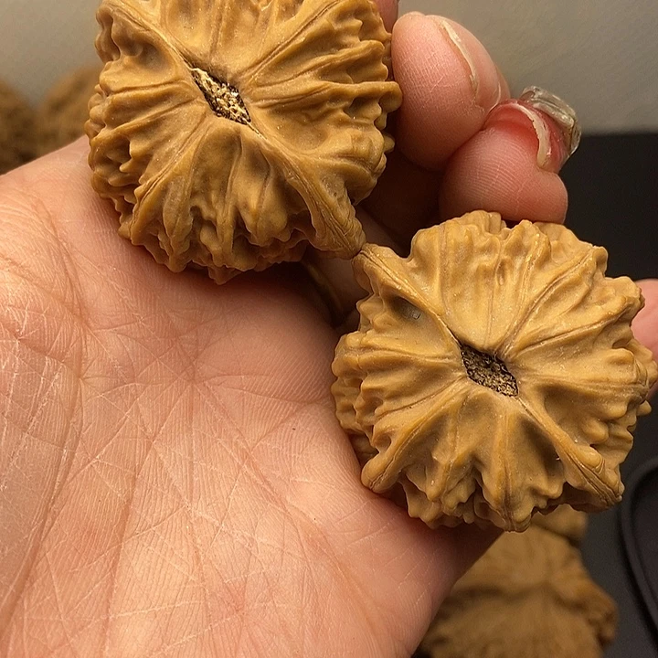 大叶紫檀（黑酸枝木类）天地43