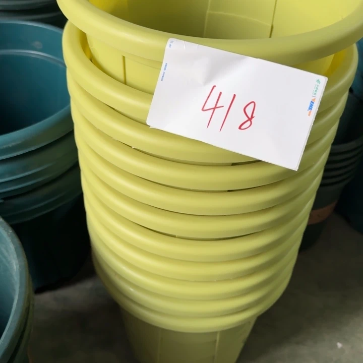 编号418特价5个无托