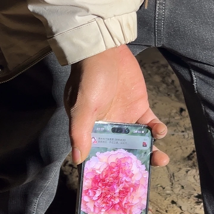 乔***建完全开放黑美人大颗