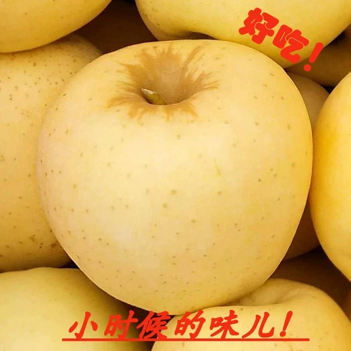 【粉面香甜】黄金帅苹果当季大沙河黄香蕉黄元帅新鲜水果整箱江苏省
