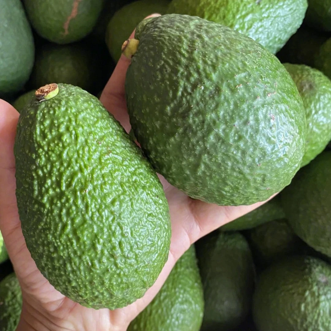 智利进口牛油果1公斤净重包邮到