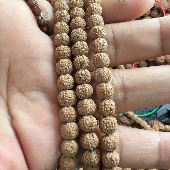金刚菩提手串野树一代龙脖挂
