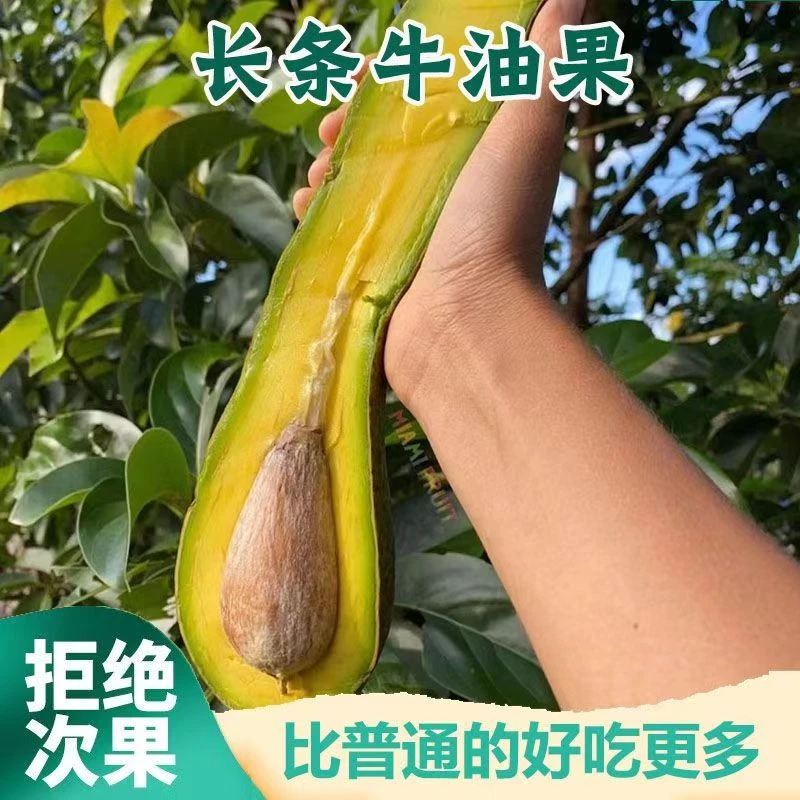 广西牛油果长型长条形牛油果鳄梨长款当季新鲜水果沙拉顺丰包邮