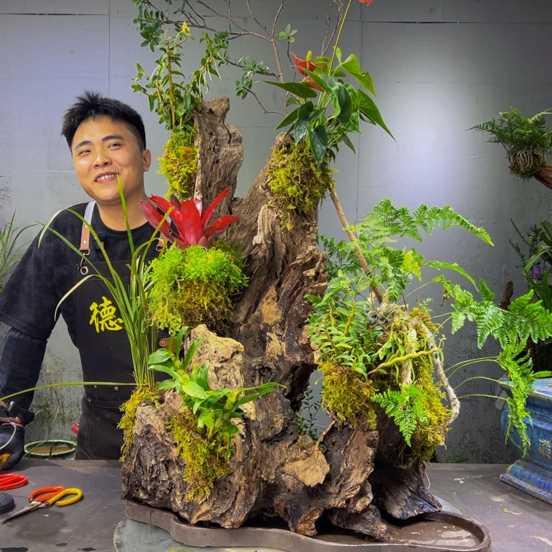 小***)无花朵11111111111111