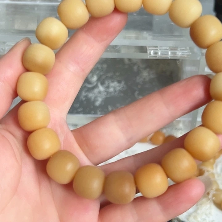 手串菩提根/象牙果