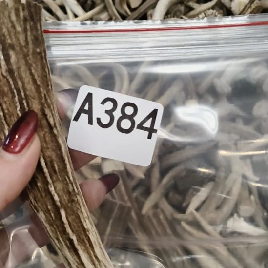 壹***叁鹿角鹿角鹿角角鹿角角