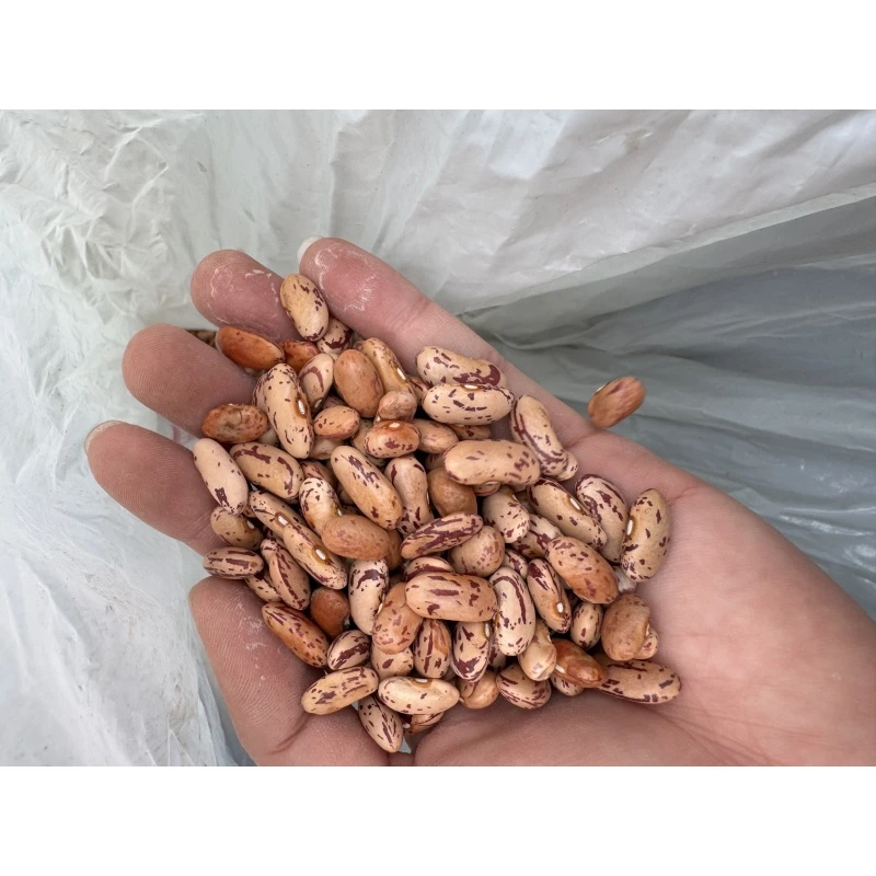 【嬢嬢家的土货】石柱农家自产四季豆米1斤装A