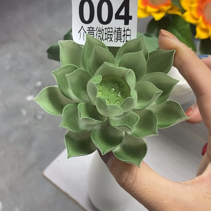 陶瓷陶瓷材料加工