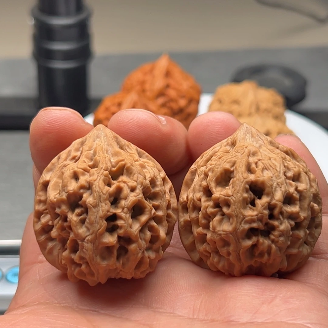键***文玩核桃把件太行龙纹