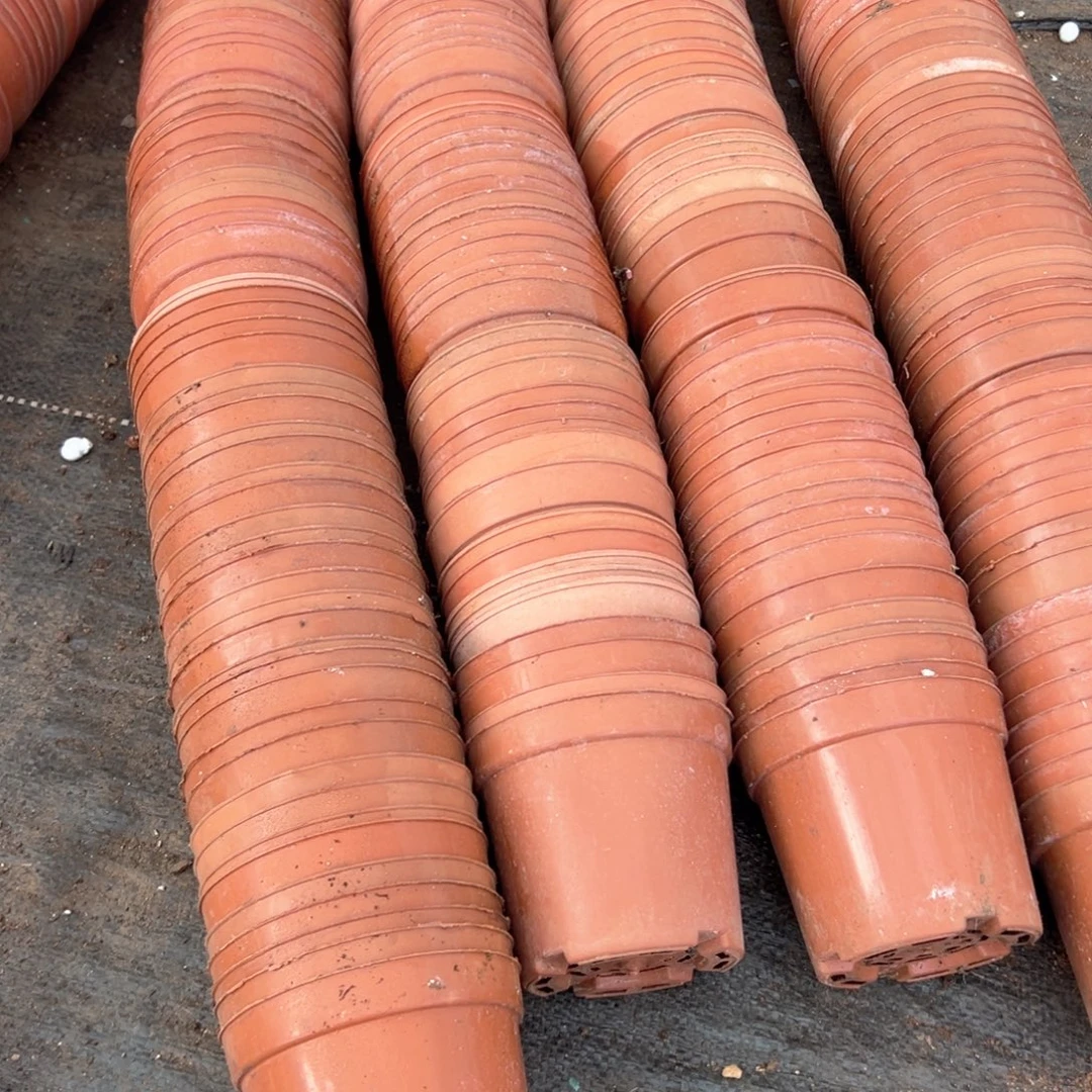 红矮胖盆10口径8高 60个