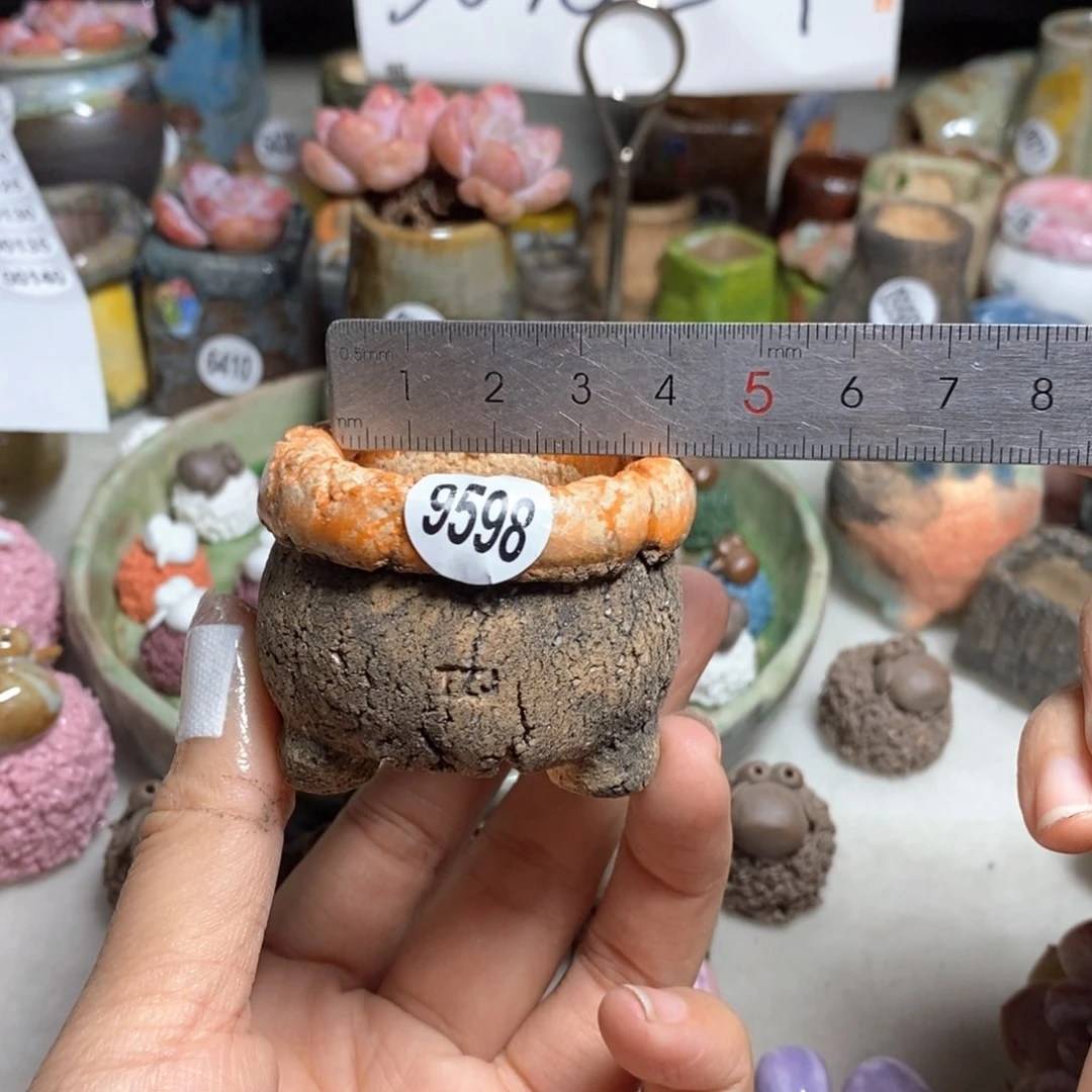 双十一活动不退不退原价28