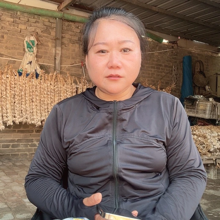 中国大陆正宗宝坻紫皮大蒜