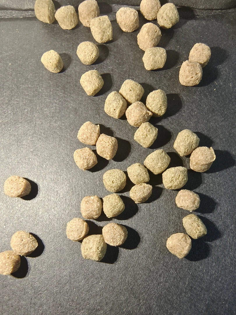 龟粮幼龟粮开口粮螺旋藻龟粮