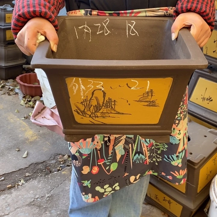 紫砂花盆只顾吃肉而