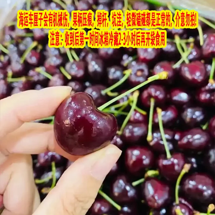 新船【原箱】【N】绿树【智利海运车厘子3J】（箱/净5斤） 内附果径卡
