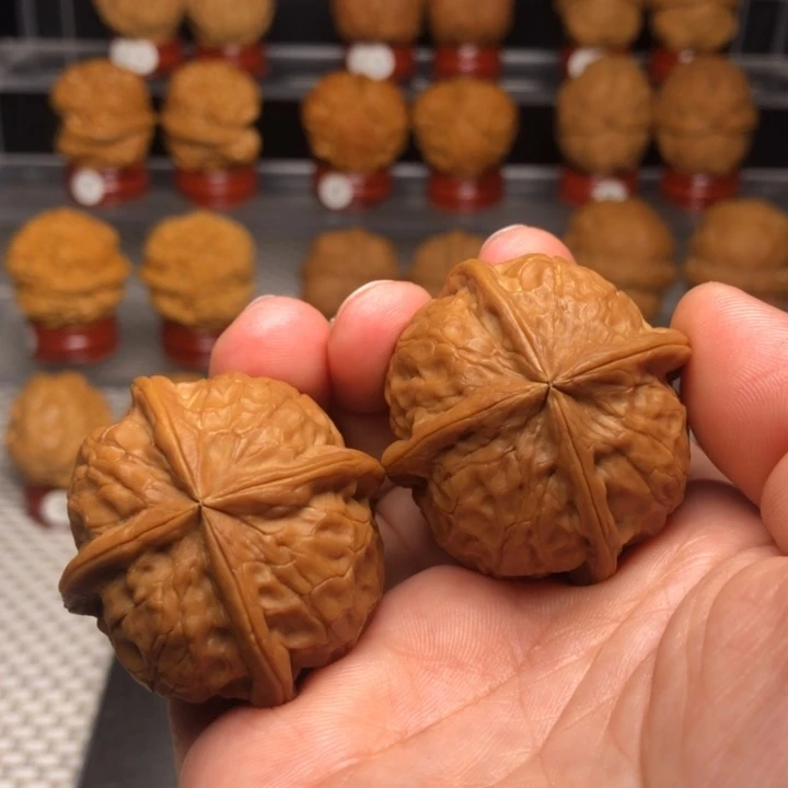 文玩核桃把件28金龙抱玺