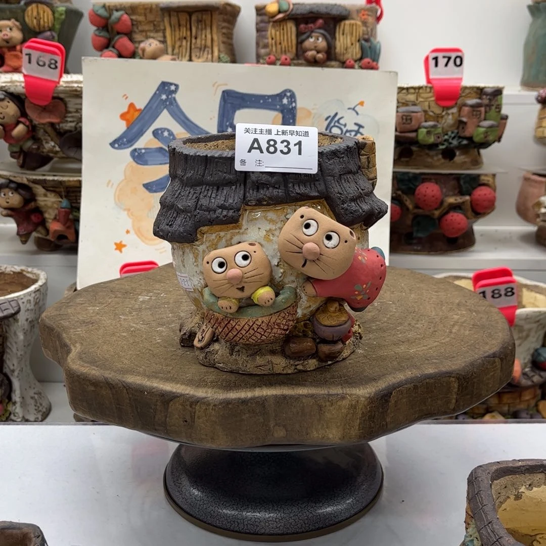 A***℡花盆831喵殿下粗陶