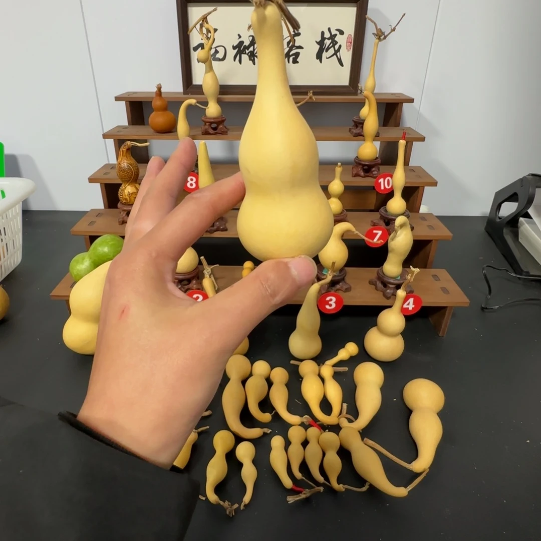 山***逢大叶紫檀（黑酸枝木类）