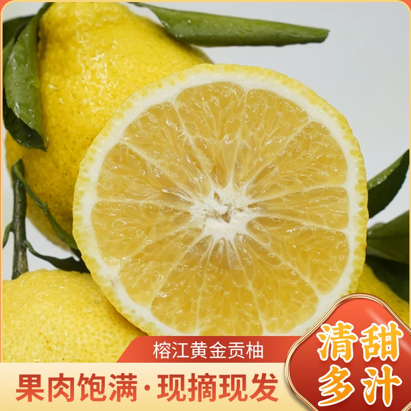 村超圣地贵州榕江黄金贡柚产地直发新鲜应季水果皮薄肉厚爆汁鲜甜