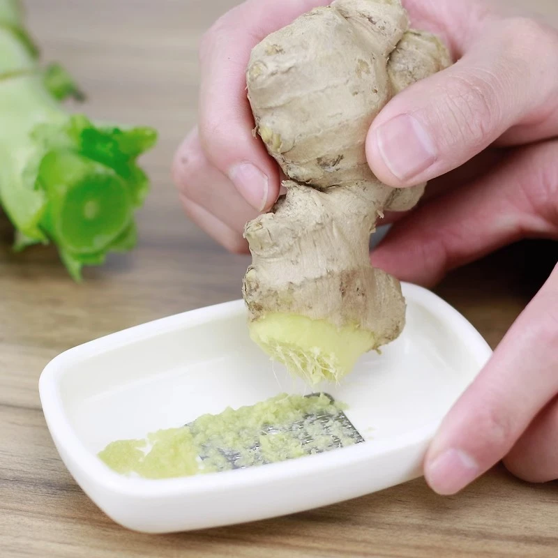 日本进口厨房多功能手动生姜末磨泥器搓捣蒜蓉研磨搅碎磨姜泥神器