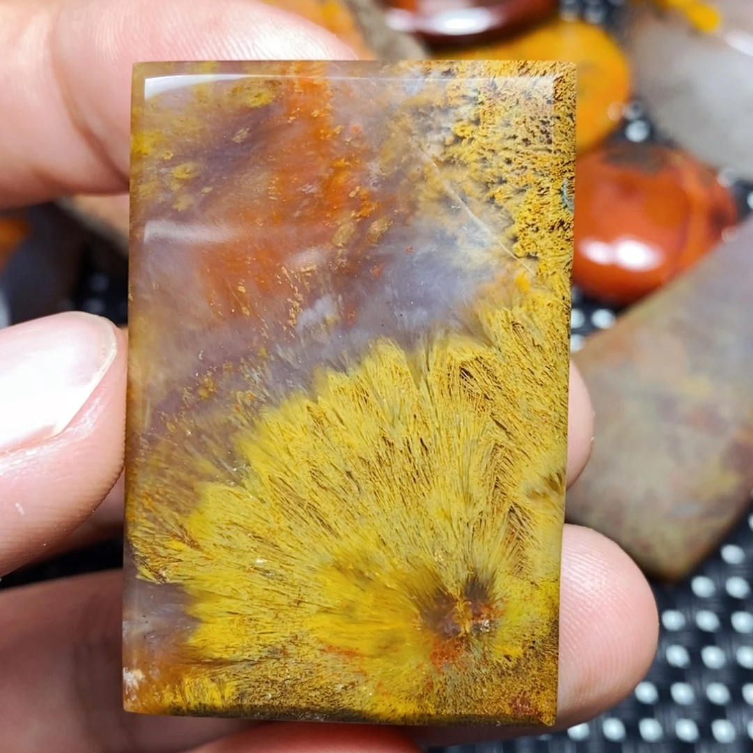 未镶嵌颈饰玛瑙/玉髓赵*依