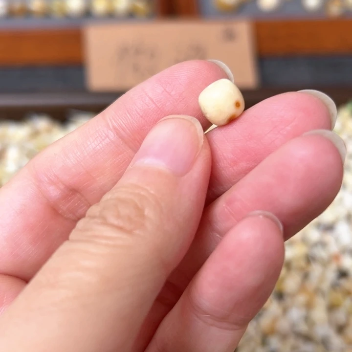 蜜蜡未镶嵌裸石8mm一个