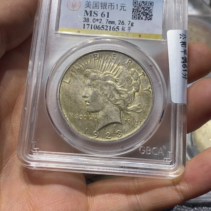 银木**哥和平鸽88888888888888