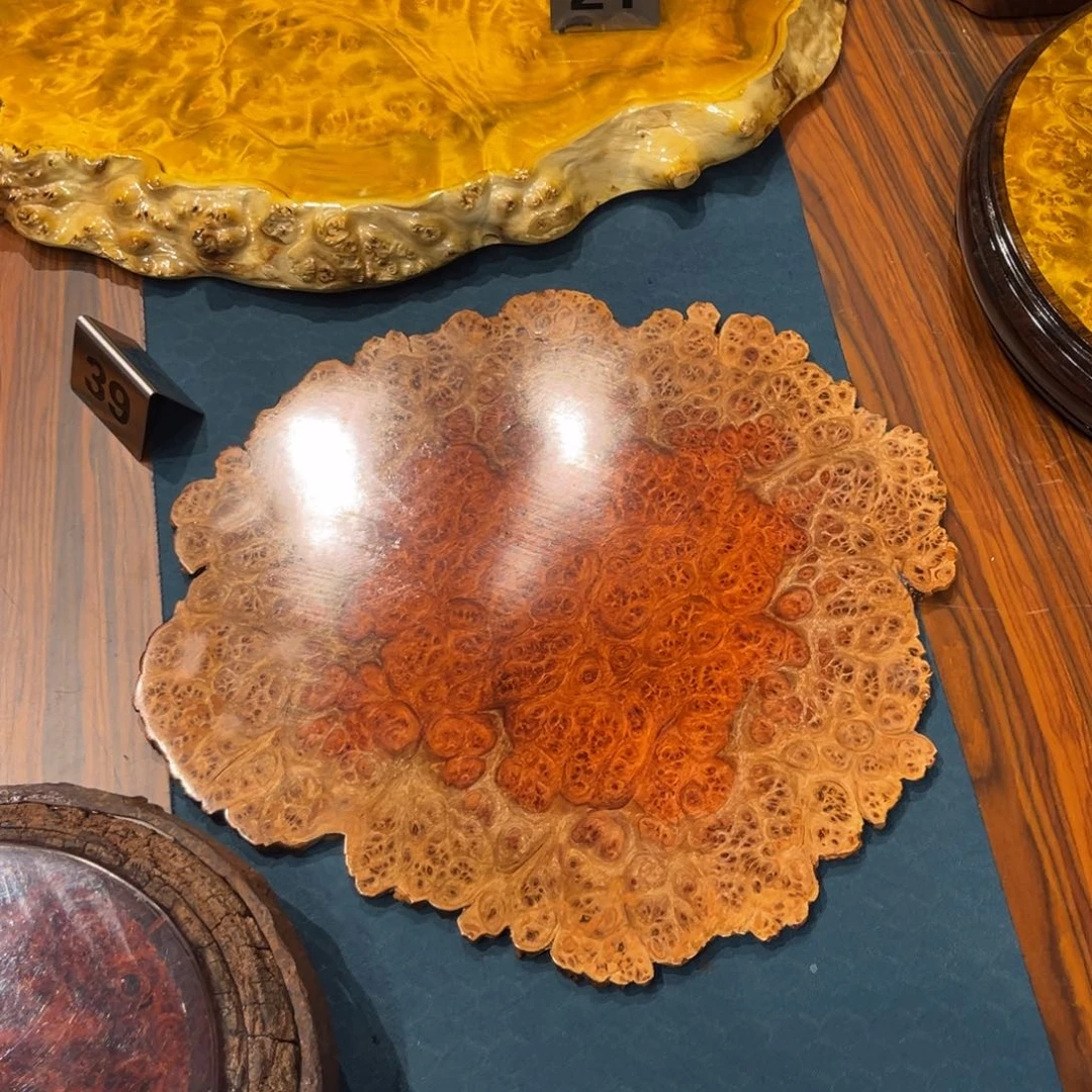 学***坤缅花干泡来啊啦丽丽丽丽