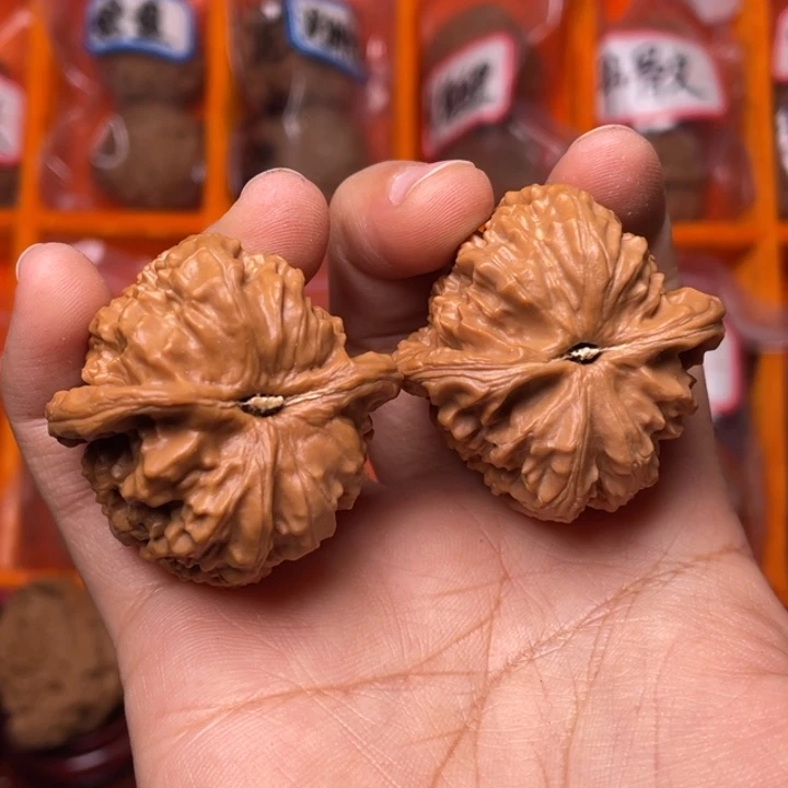 核桃白狮子核桃打底了