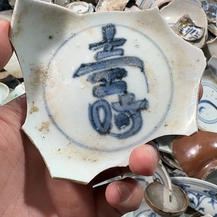 瓷片瓷片标本顺丰包邮