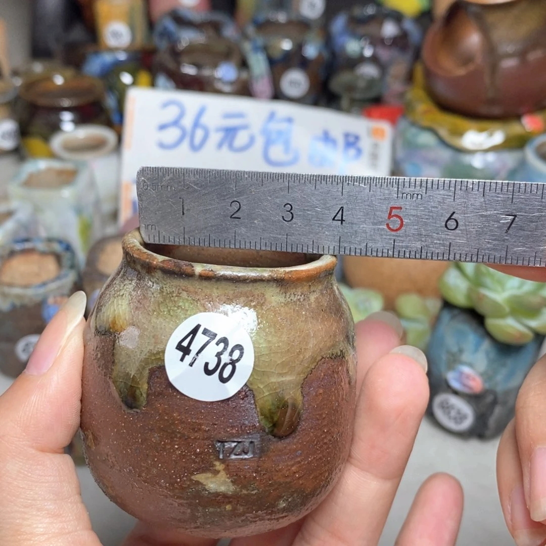 拍5送一个小礼物