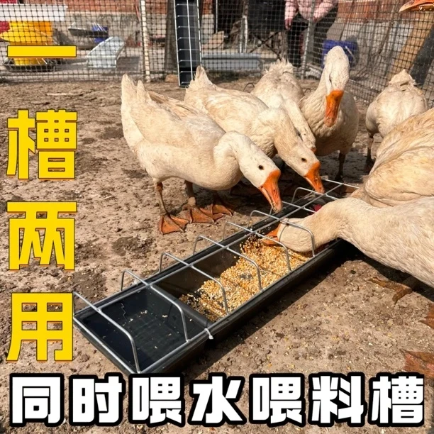 喂鸡神器鸡食槽长方形耐用喂鸡食槽水槽一体喂料器饮水槽家禽养殖
