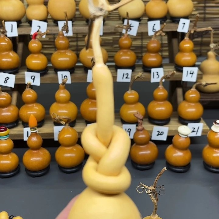 腿****9这个世界的一切美好