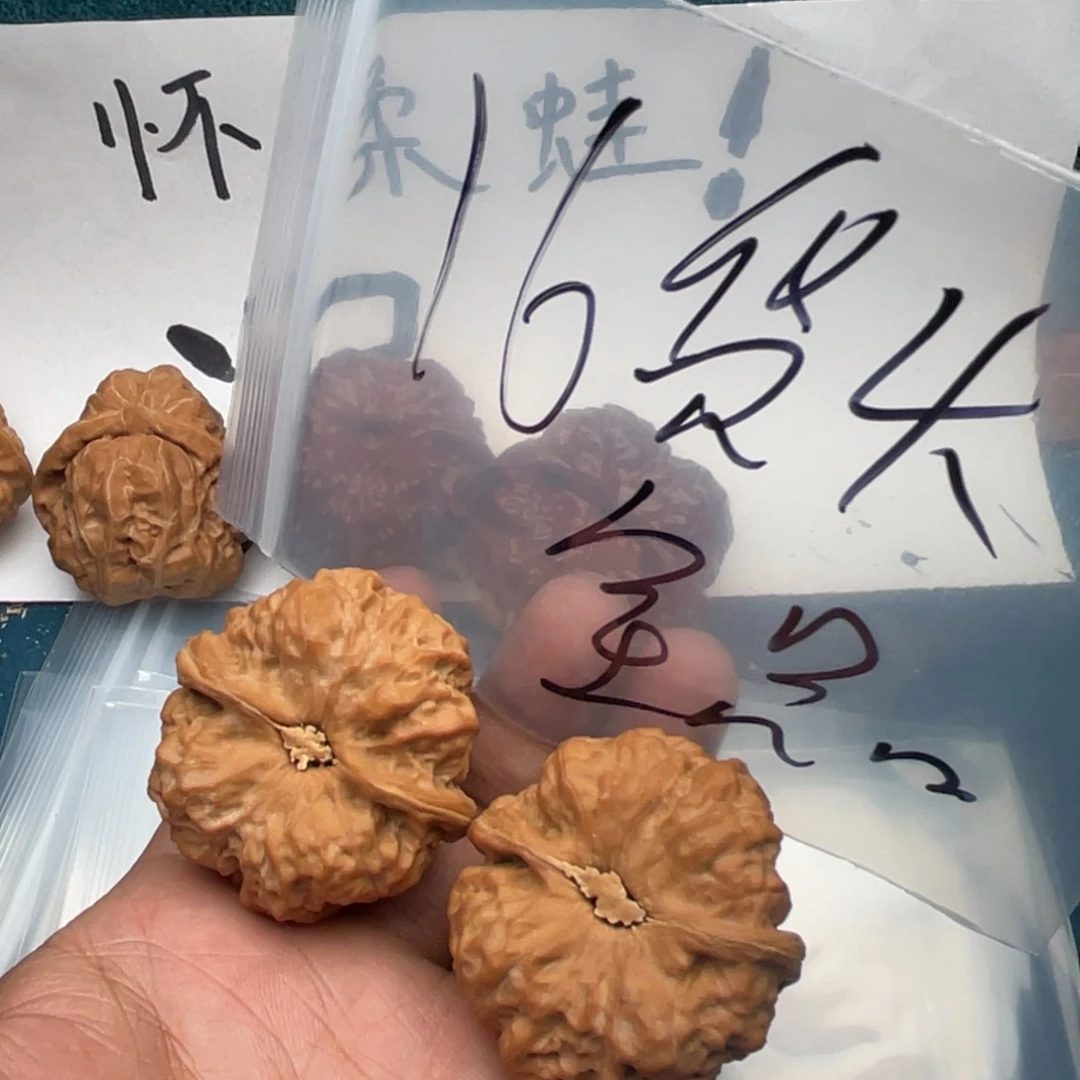 核桃375735735735537753375573