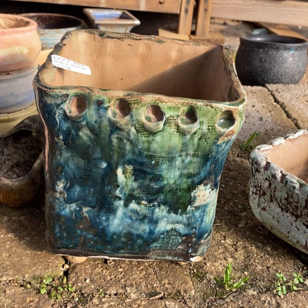 60号多肉盆口径13.5高17.5