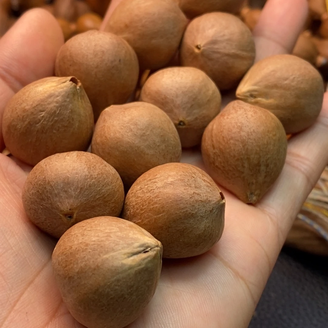 哈***酒手串/手链橄榄核1