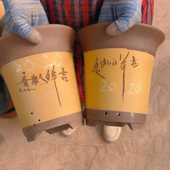 紫砂艺术学院美术