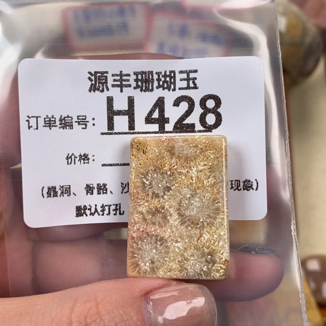 硅化玉颈饰未镶嵌k*y